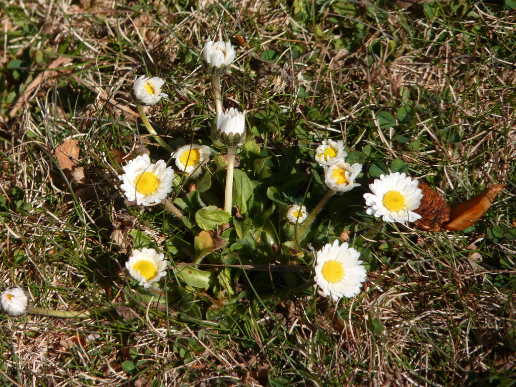 No s'ha trobat l'arxiu